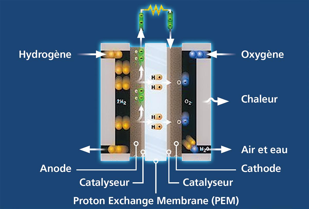 Chaîne hydrogène